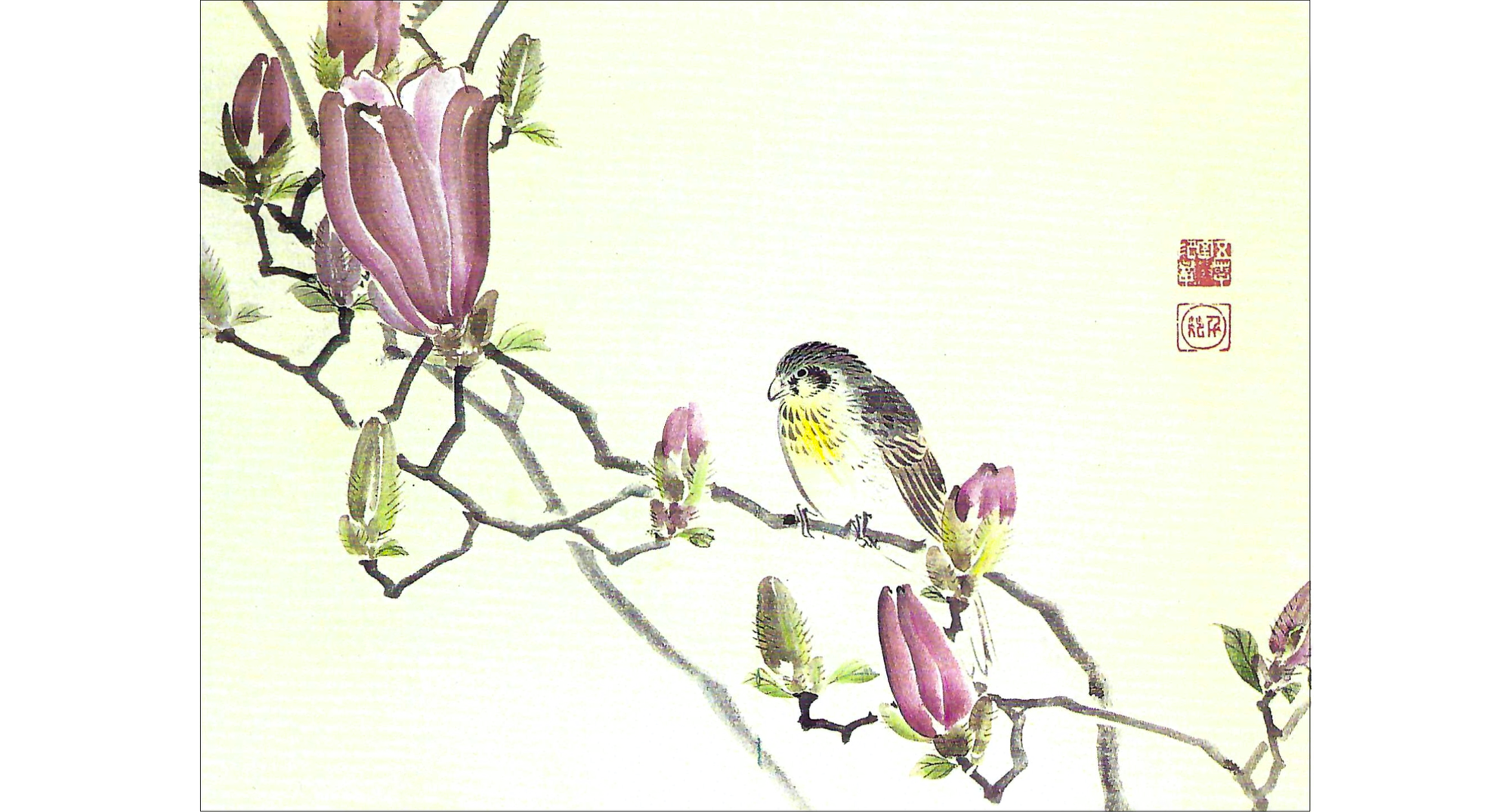 Image of painting of bird on branch of magnolia blossoms