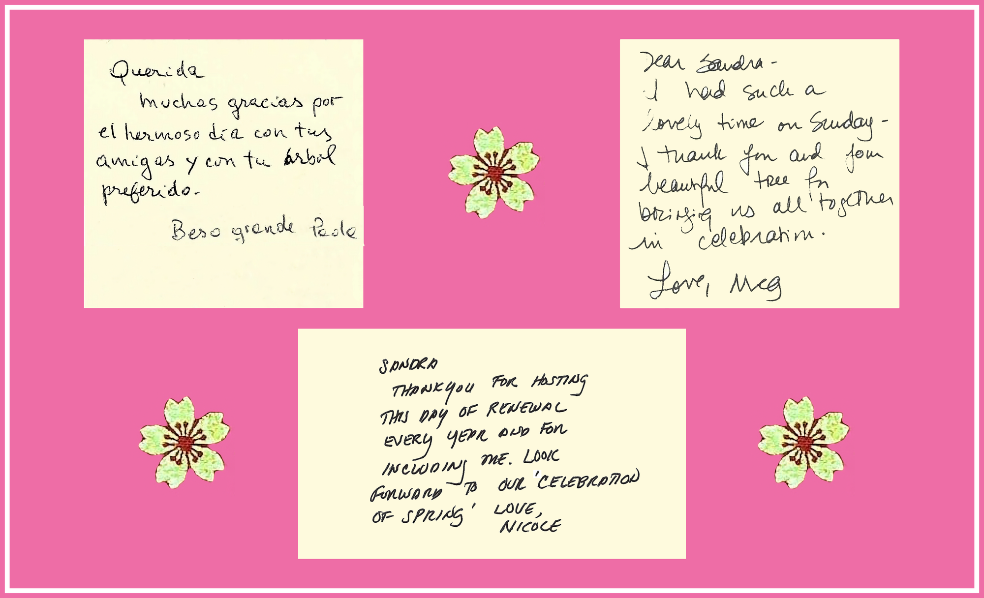 Image of three thank-you notes from party attendees agains a rose background with ornamental blossoms