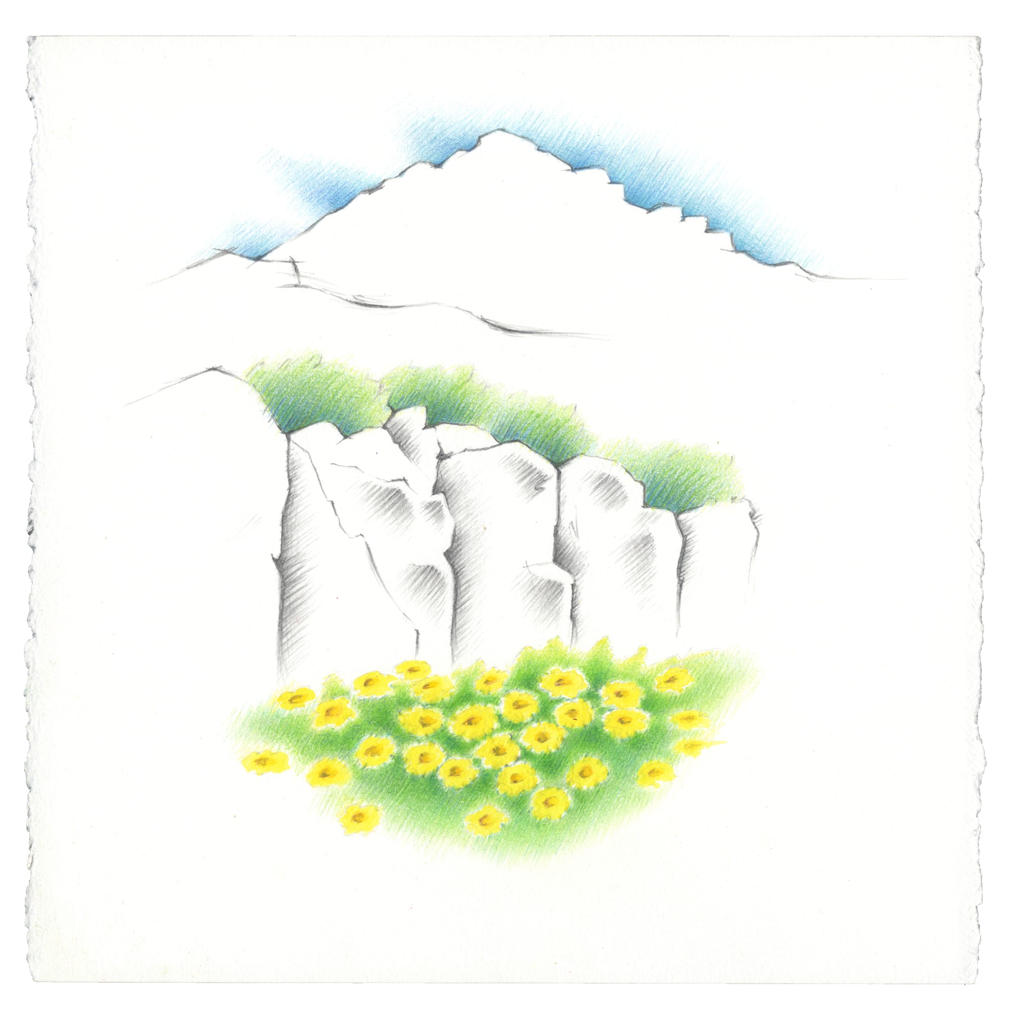 Image of painting of yellow balsamroot on green grass against upright rocks in foreground, with green bushes and then a butte against a blue sky in background