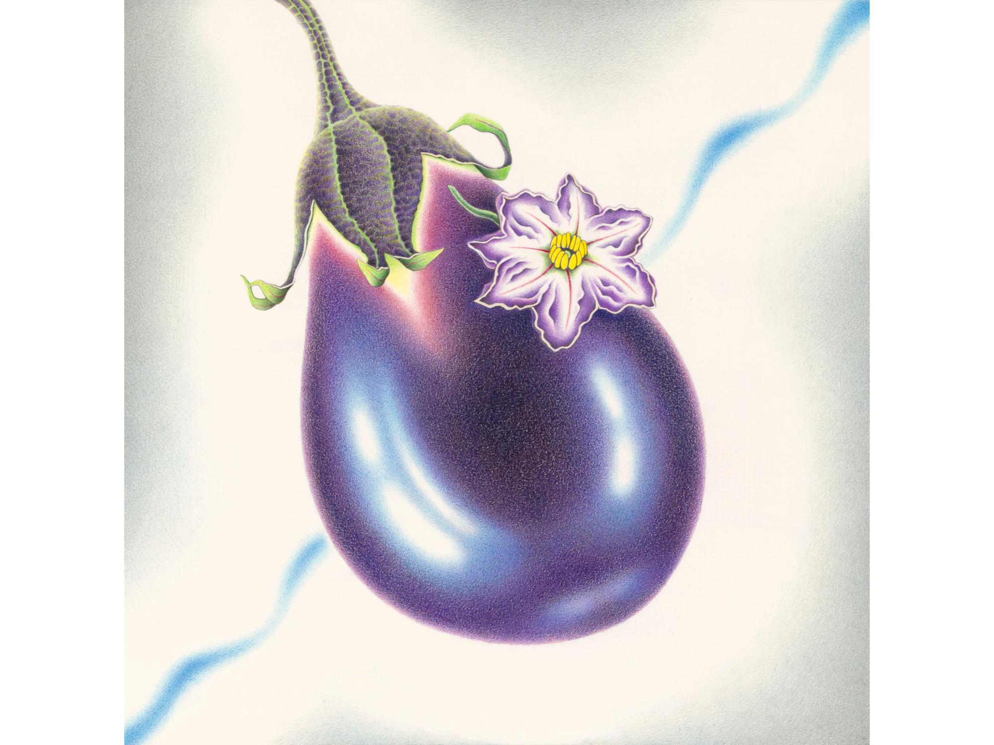 Image of purple eggplant with purple and white blossom, on white-grey background and a blue wavy diagonal from upper right to lower left