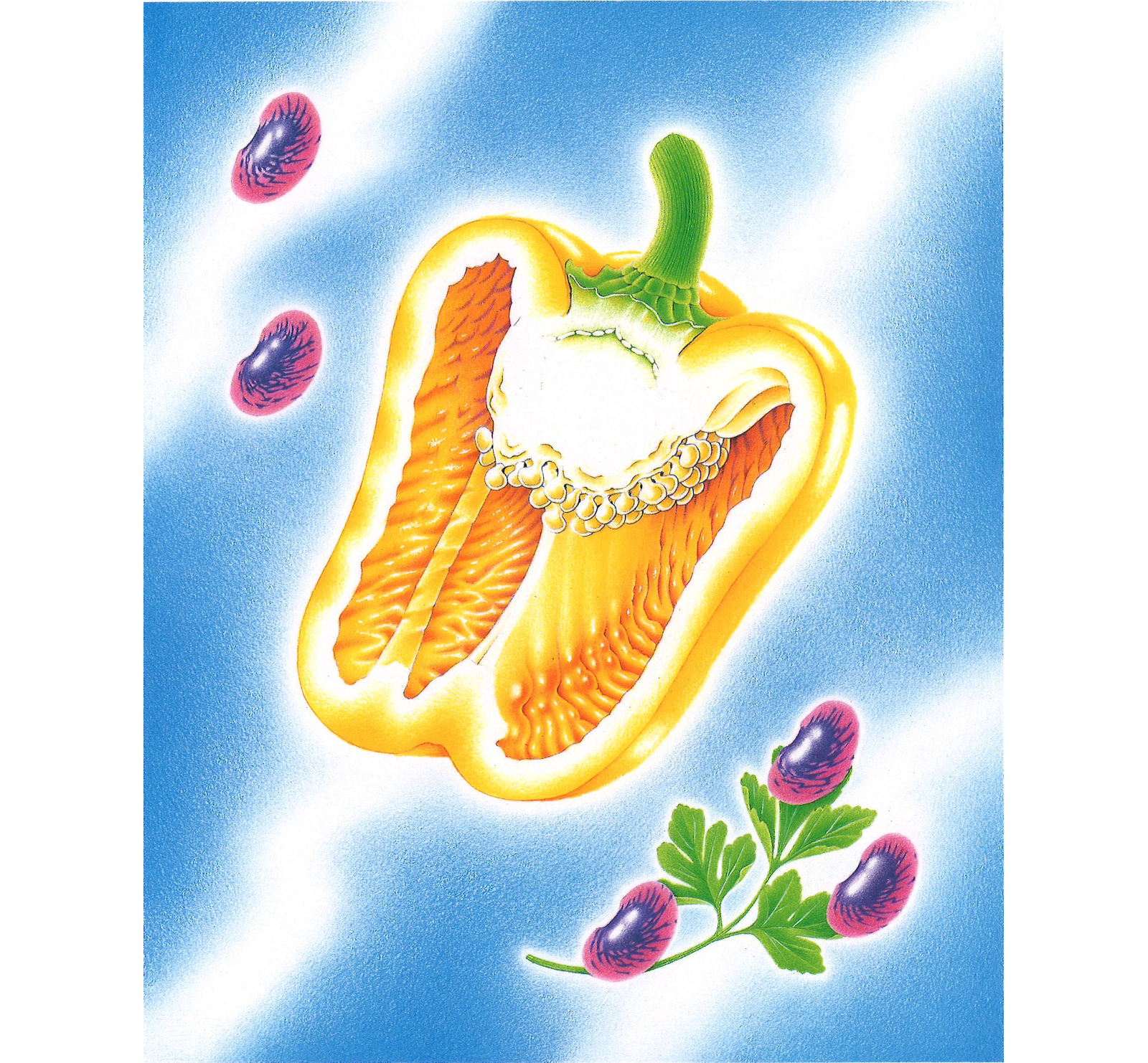 Image of drawing of 1/2 yellow bell pepper with scarlet runner beans to upper left and lower right, on a blue background with white streaks