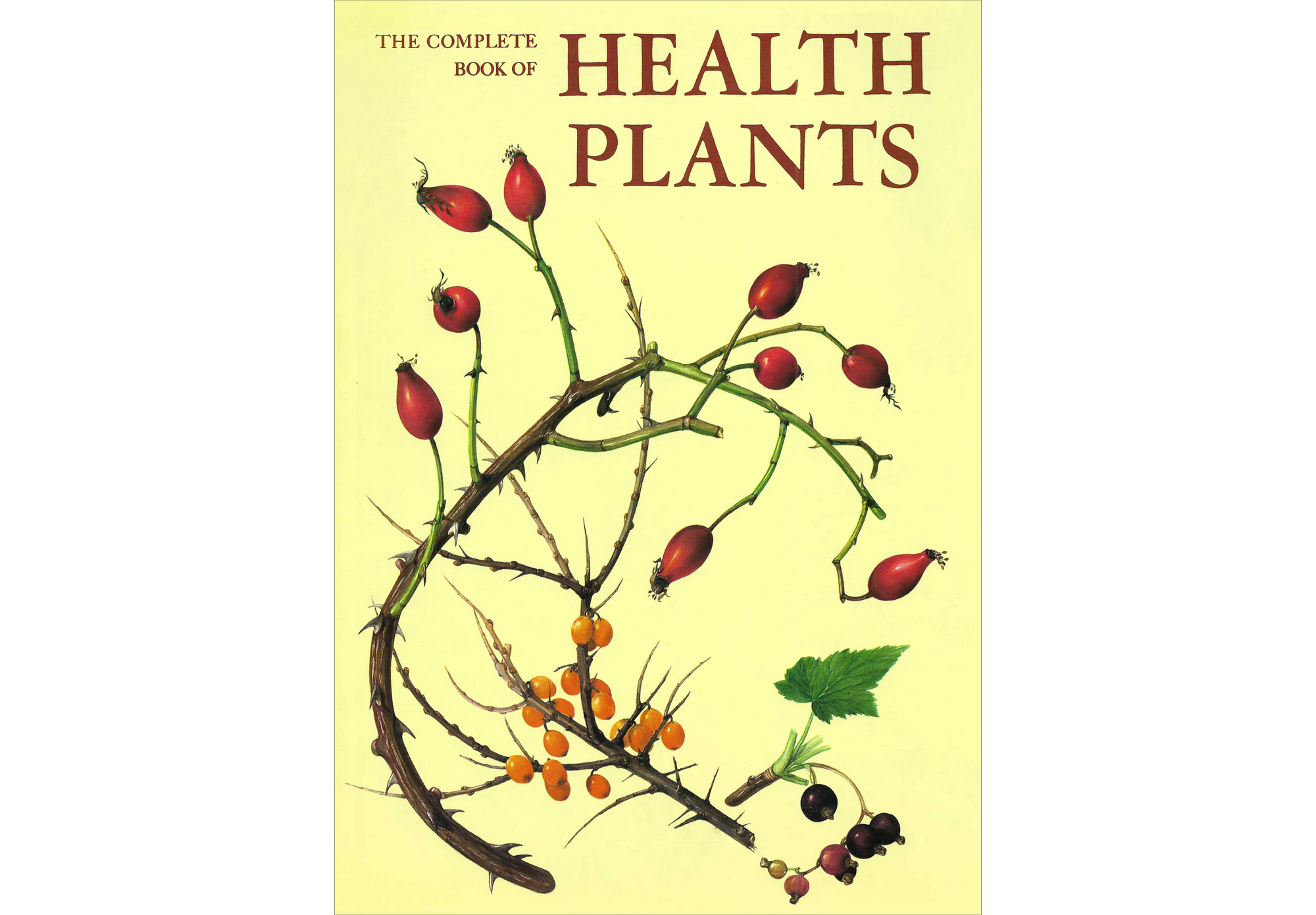 Image of light yellow book cover, Health Plants, with 3 branches of different berries