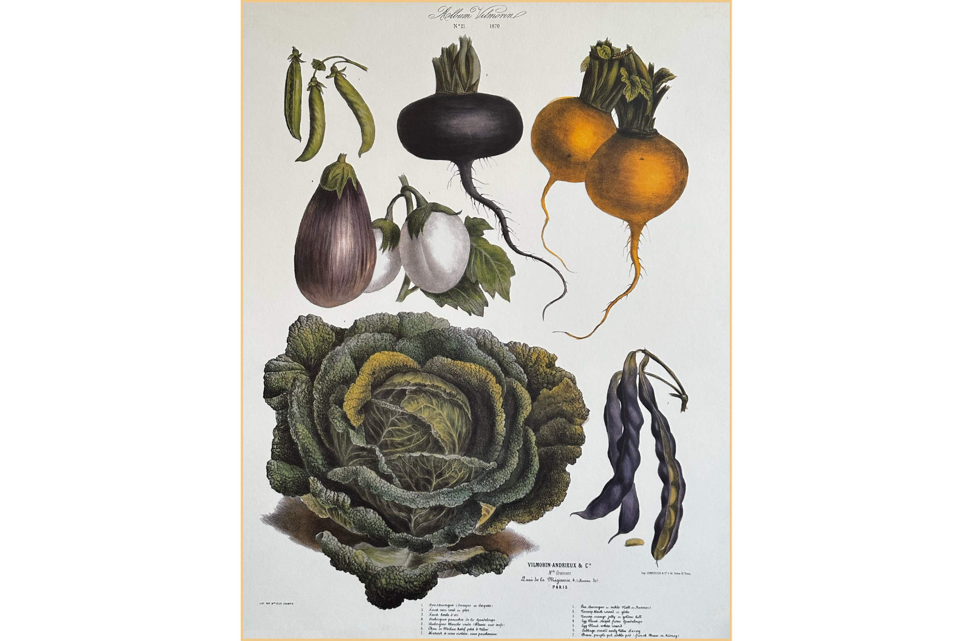 Image of various root crops