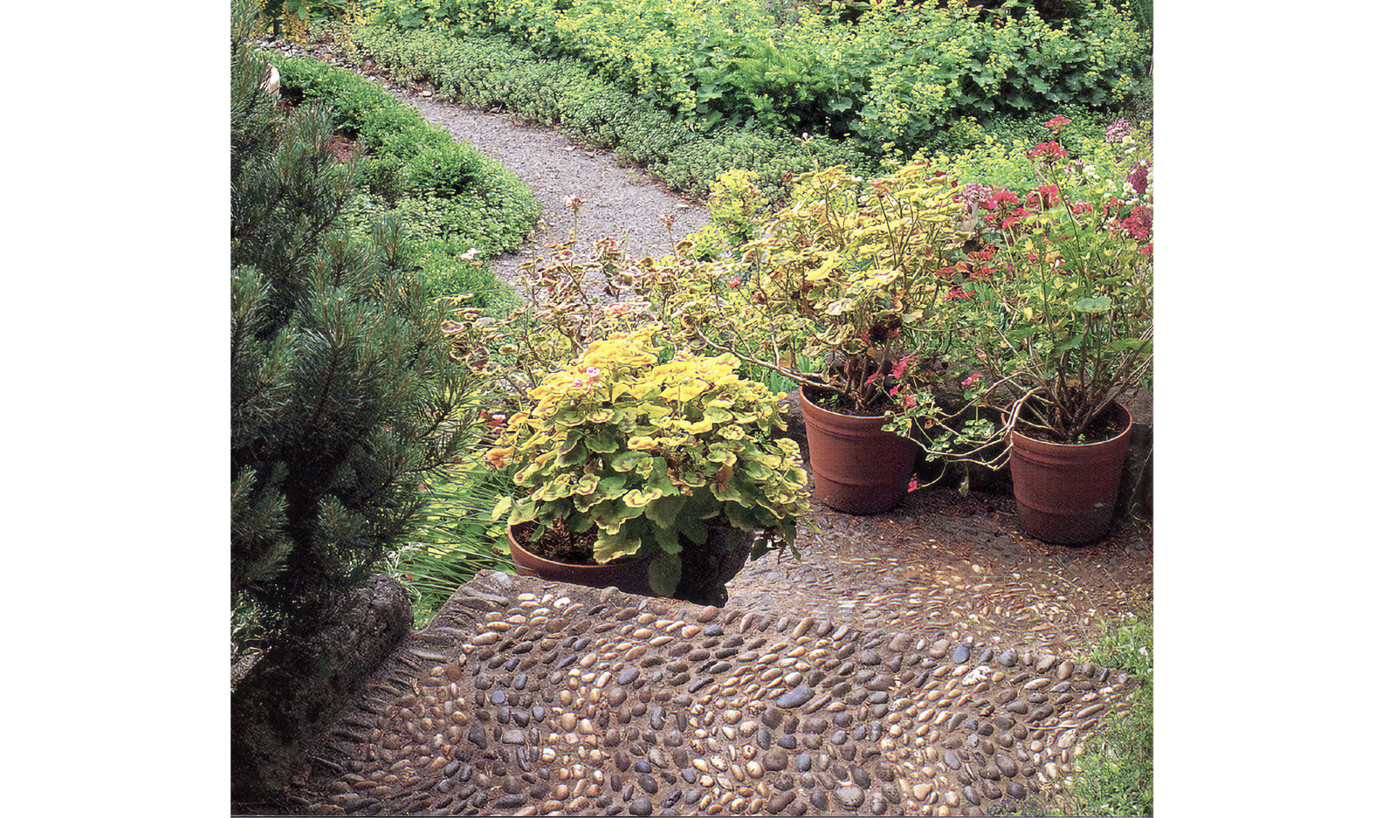 On the steps are potted plants, and at the bottom a pathway goes off to the left