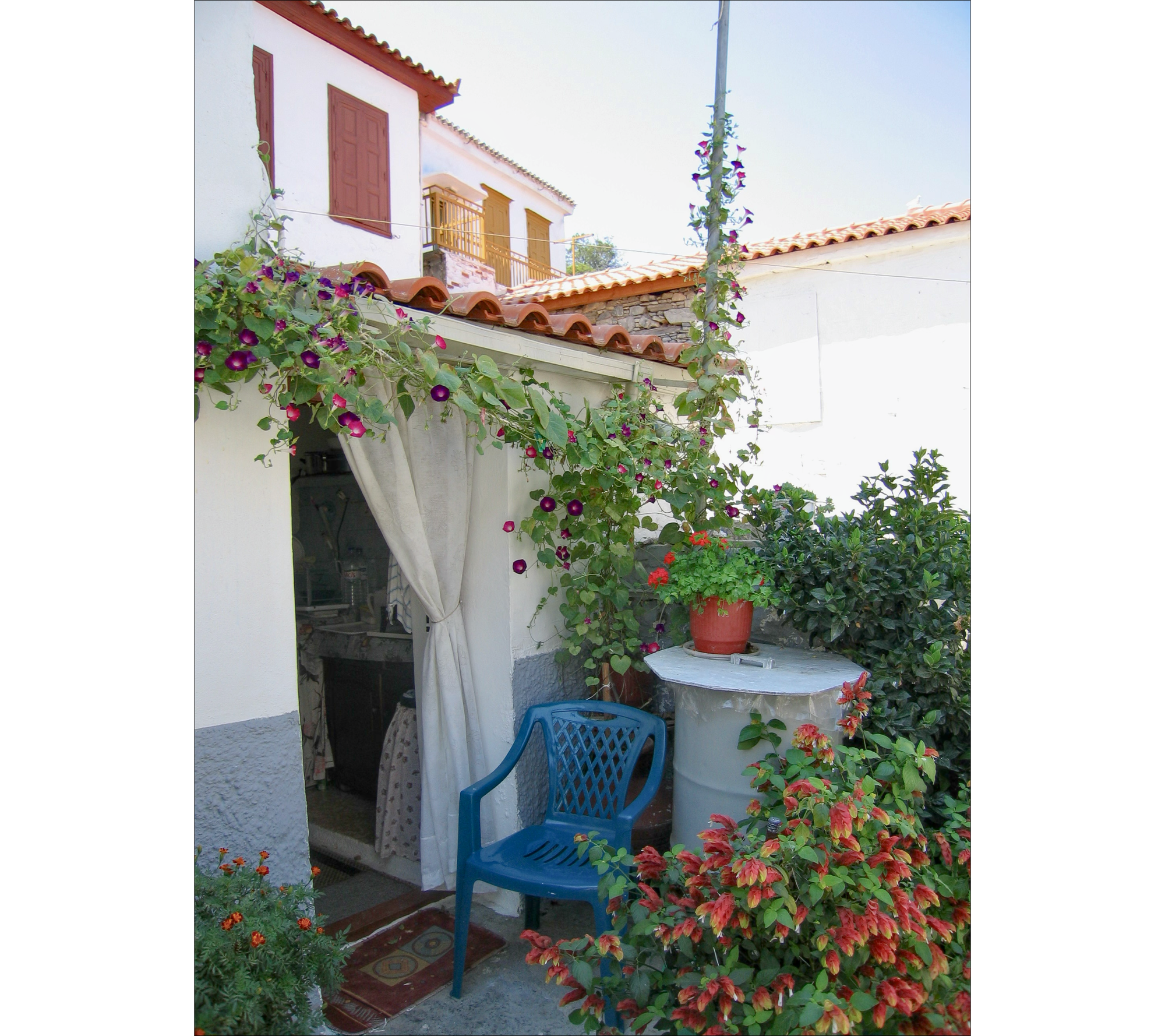 Photo of a small outdoor garden on a patio on the back side of a white village house. Purple bougainvillea and other flowers surround it and the white rain barrel to the right