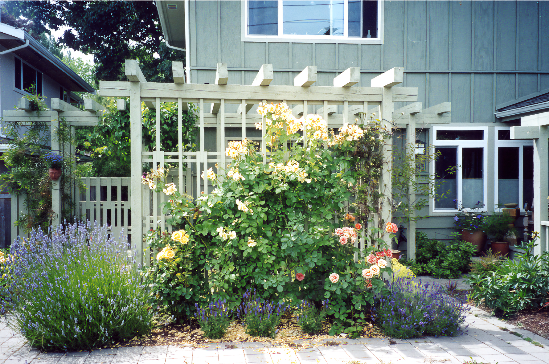 The arbor and flowers are on a stone patio in front of two condo buildings.