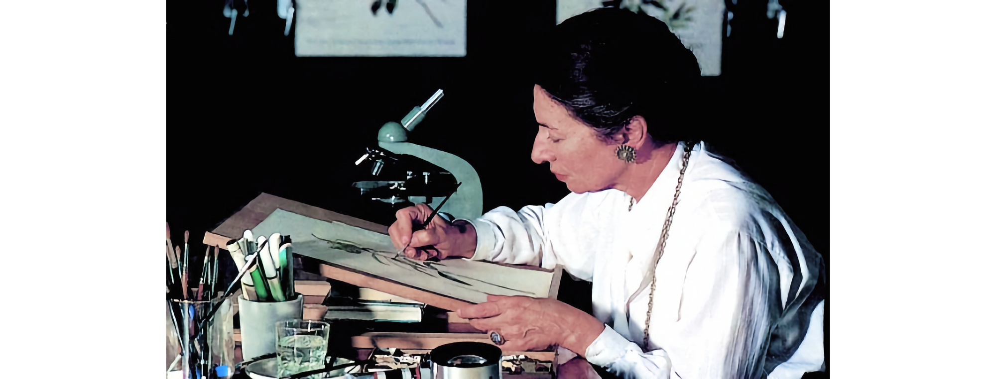 Photo of woman in white blouse drawing a wildflower, with a blue microscope in the background, and pens and brushes in the foreground