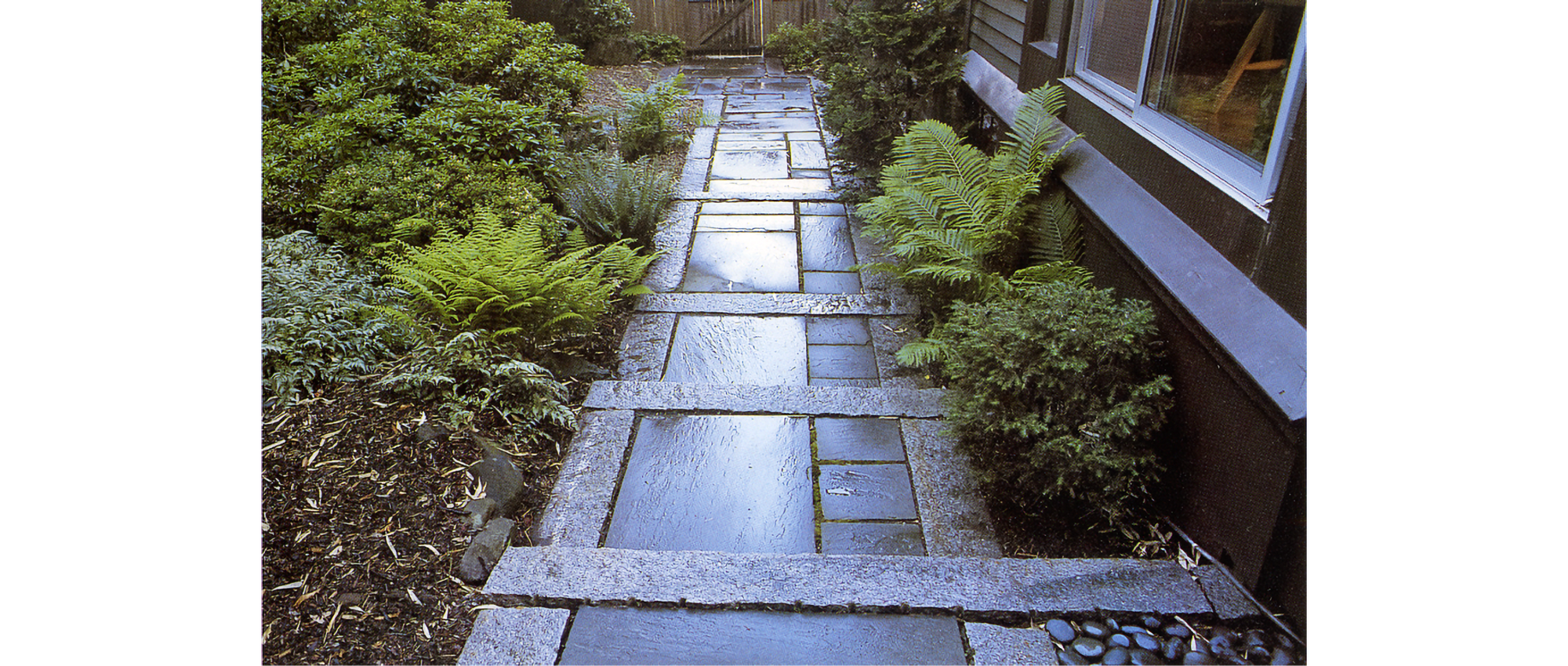 Photo of a bluestone path with concrete edges; on either side are green ferns and plantings