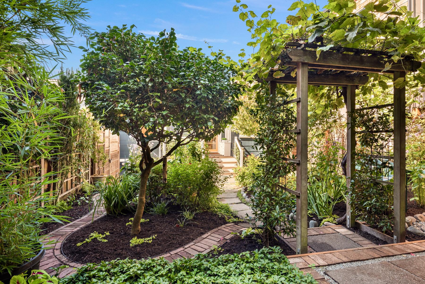 Photo of garde, with arbor to right, tree to left, and curved brick pathway around tree.