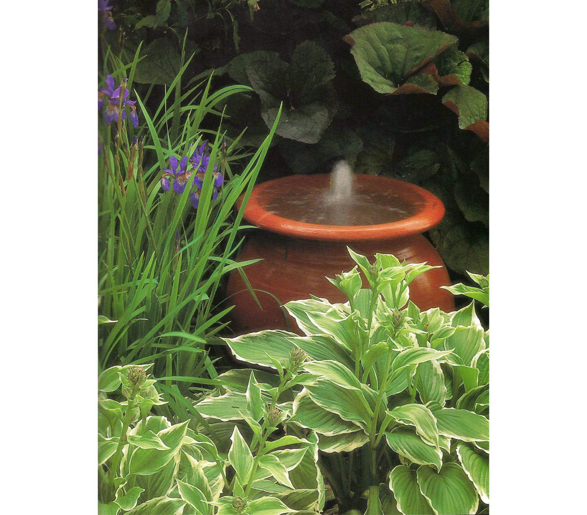 Small brown urn with fountain, surrounded by green plants and purple irises on left