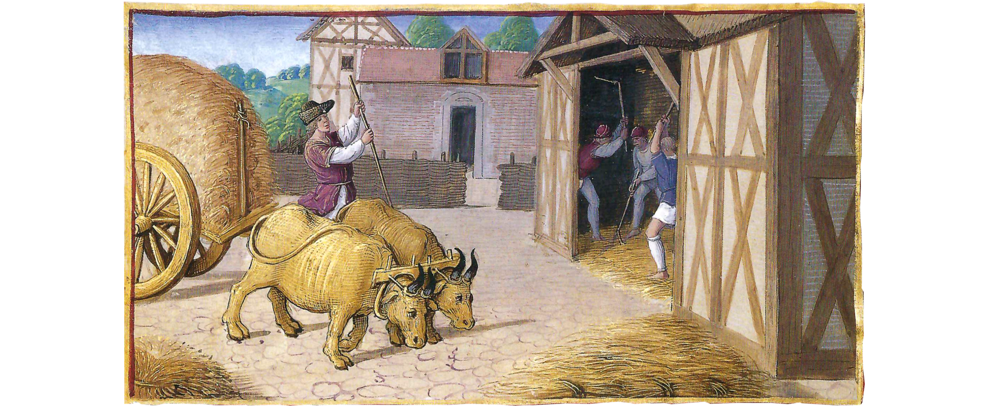 Two oxen haul a cart of wheat to an open barn door, where three workers are threshing wheat