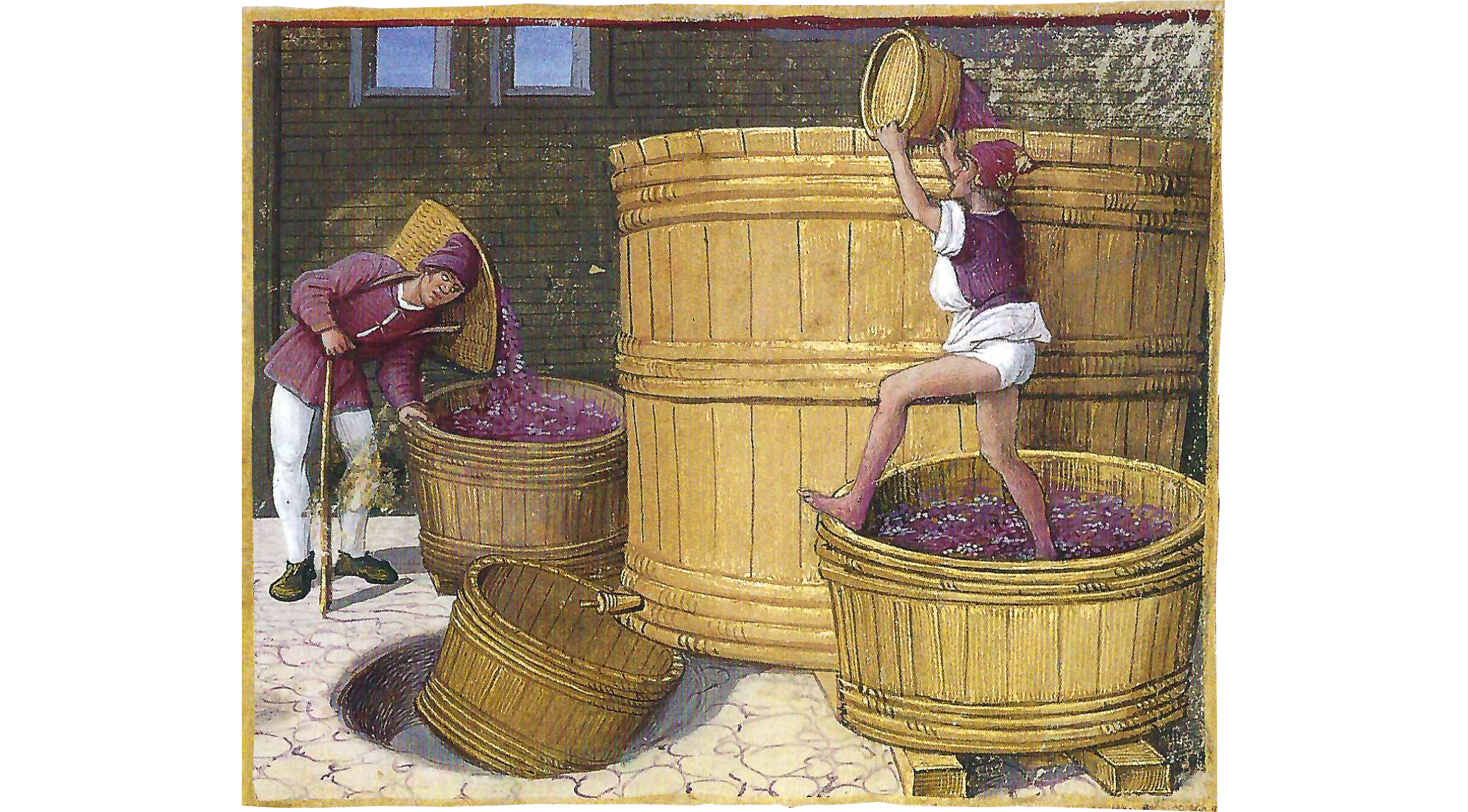 In front of a large barrel, a barefooted worked crushes purple grates with his feet while pouring the juice from a basket into the large barrel. To the left, another worker is duping grapes into a second barrel.