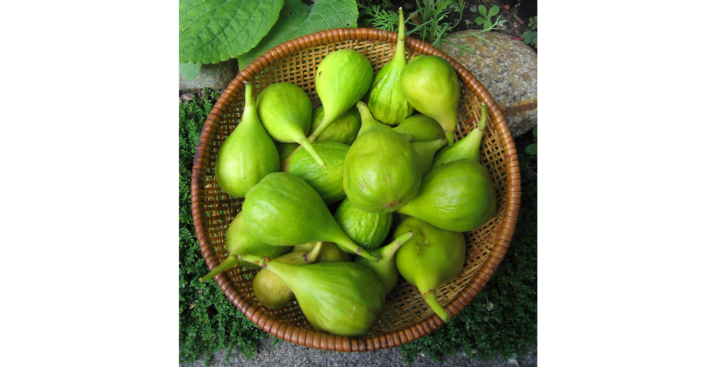 Photo of round brown basket filled with green figs.