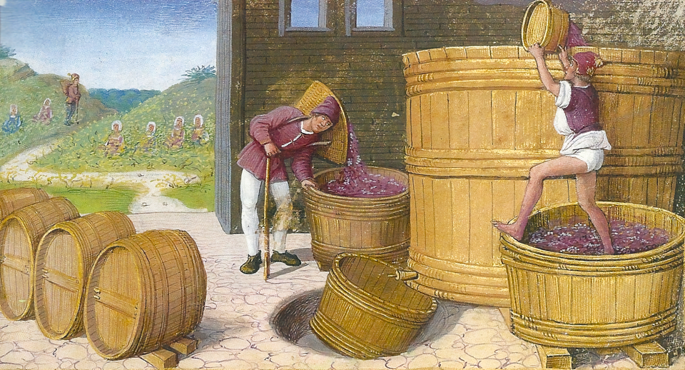 Painting of a grape harvest being deposited into large wooden barrels, with vineyards in the upper left